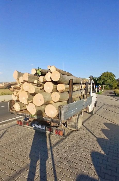 Lemn foc la 3m !! Tot judetul Hunedoara !Contra cost se taie si sparg!