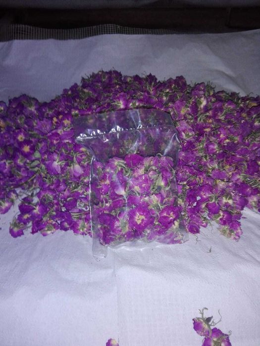 Petale de trandafiri Rosa Damascena 100% Bio