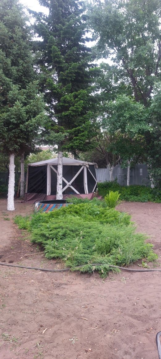 Продам дои в садоводстве Иртыш