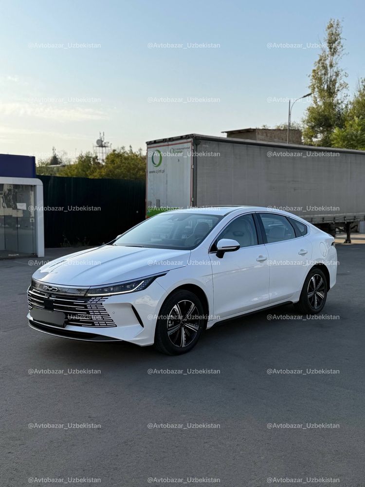 BYD Chazor Flagship•