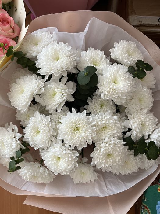 Гүл сатам! Арзан