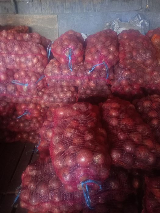 ceapa 0.70 bani kg.  unirea de Braila