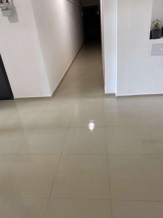 Curatenie scari de bloc