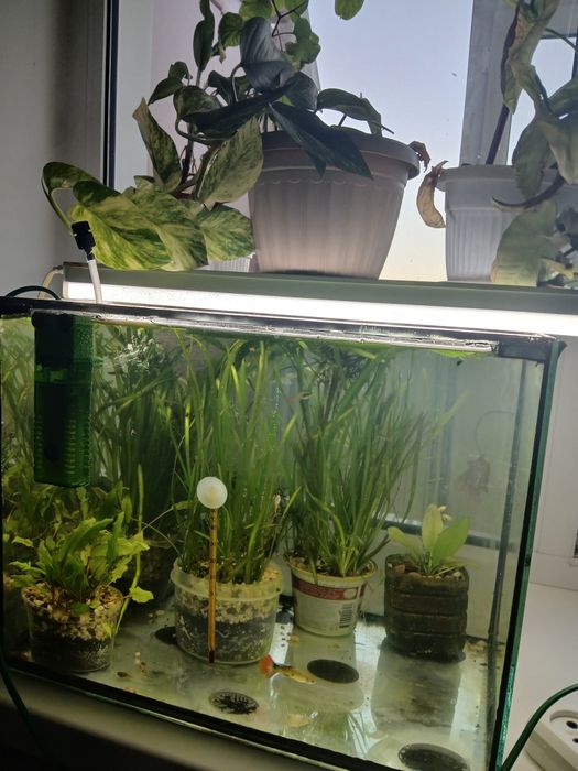 Аквариум со всеми комплектующими кроме подсветки