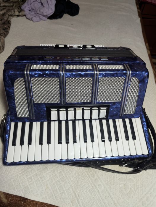Acordeon. Delicia 80 basi