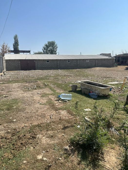 Откорм - Фазенда