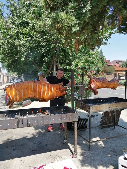 Protap,cort,ospatari,bucătari, evenimente