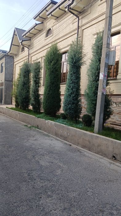 Archalarni kesamiz