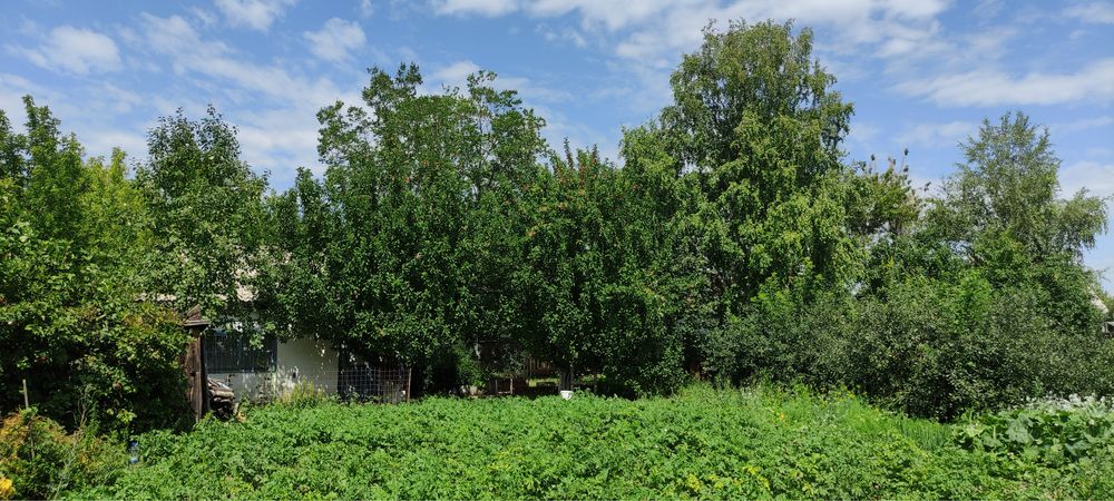 Продам дачу в городе