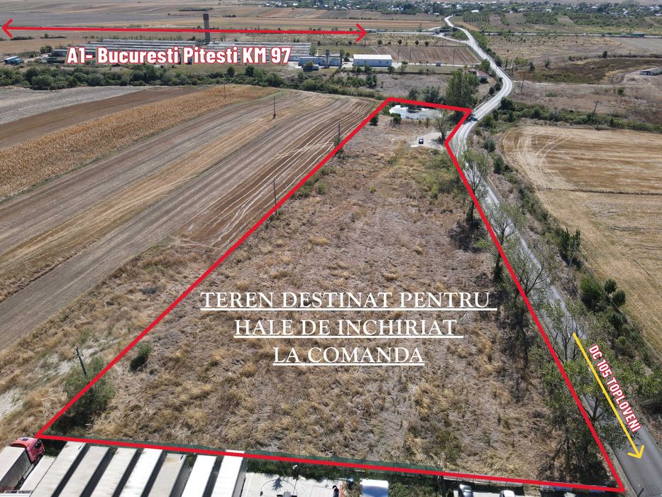 Hale de inchiriat Pitesti