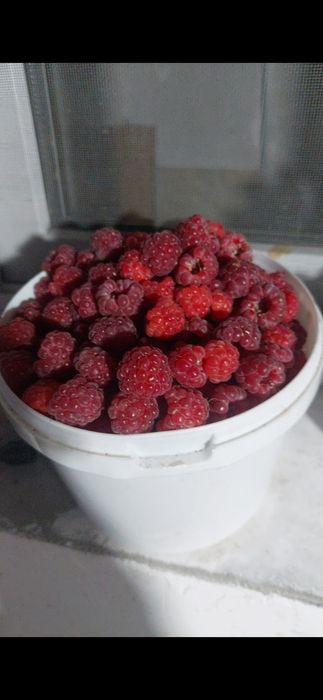 Продам малину, крупную 3 литра