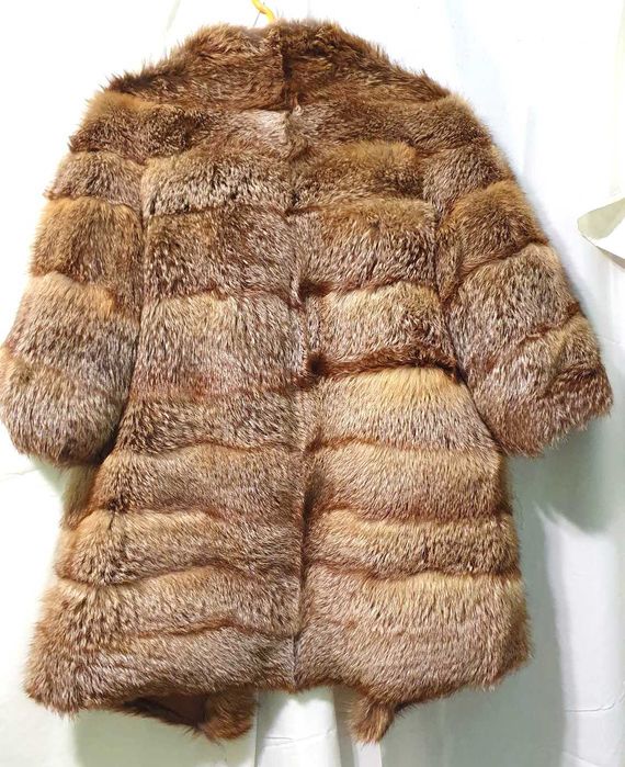 Scurta de blana, vulpe argintie