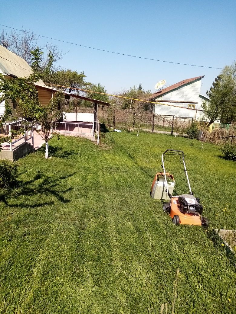 Обрезка и опрыскивать деревьев Каскелен и Село Шамалган.