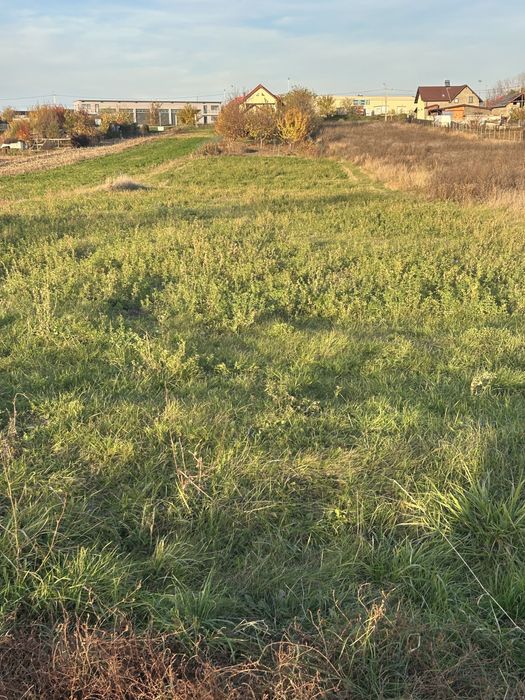 Teren intravilan 1000mp Catamarasti-Deal