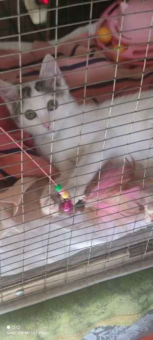 Срочно срочно срочно