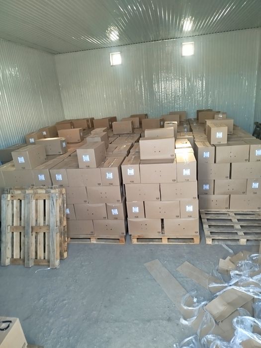 Яйцо всех категорий