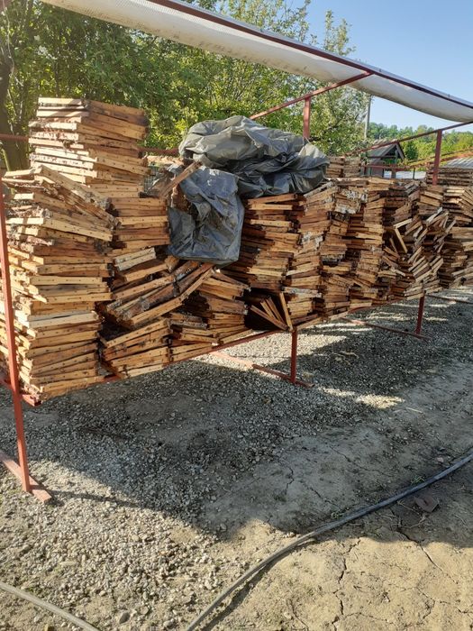 Topesc rame negre stupi