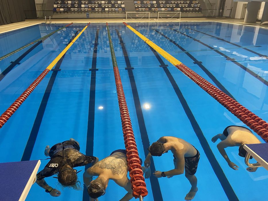 Freediving, cursuri certificari