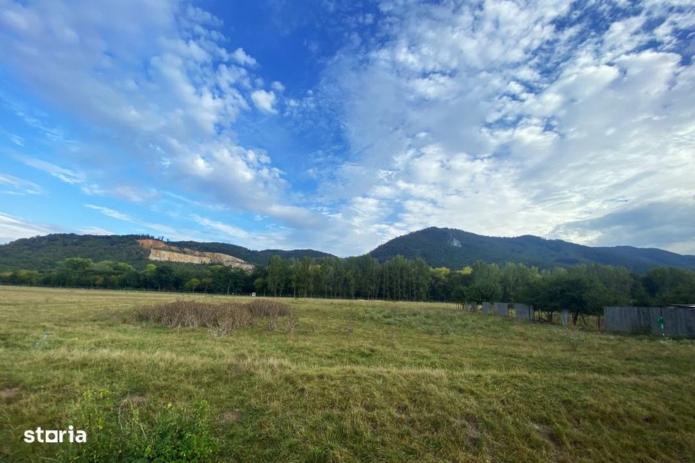 Teren intravilan 13 820 mp, cu acces pe un drum asfaltat, regim de ina