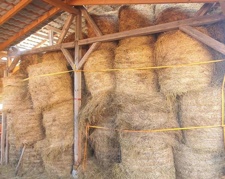 Baloti rotunzi 120/120