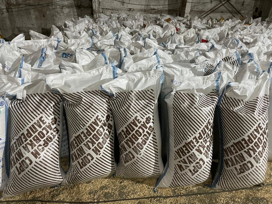 Ячмень овес пшеница