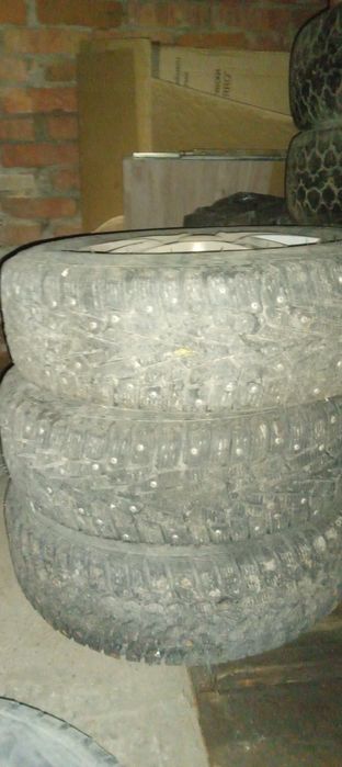 Зимние шины на титанках