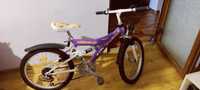 Bicicleta Minimax