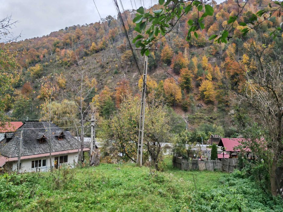 Teren 955mp intravilan Malaia Voineasa Vidra partia ski Transalpina