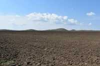Teren extravilan agricol 3 hectare colelia jud ialomita