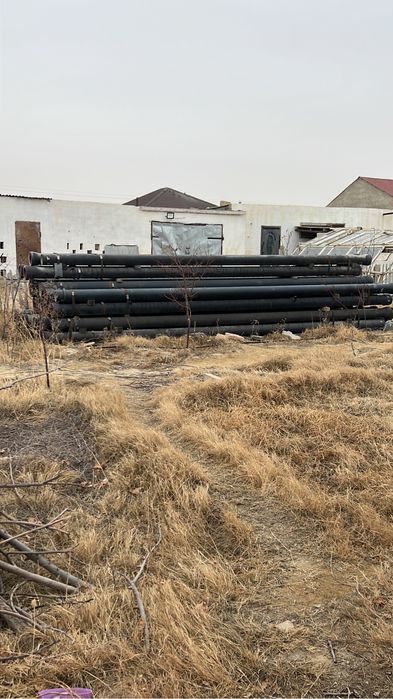 Чугонный трубый.