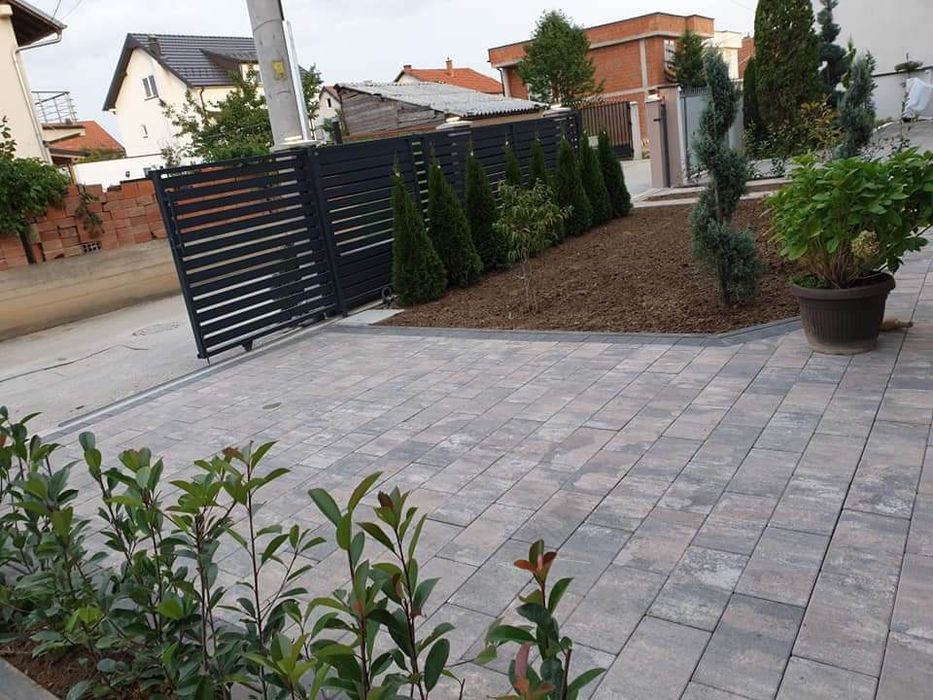 Vând plante naturale ornamentale pentru amenajarea gradini dumneavoast