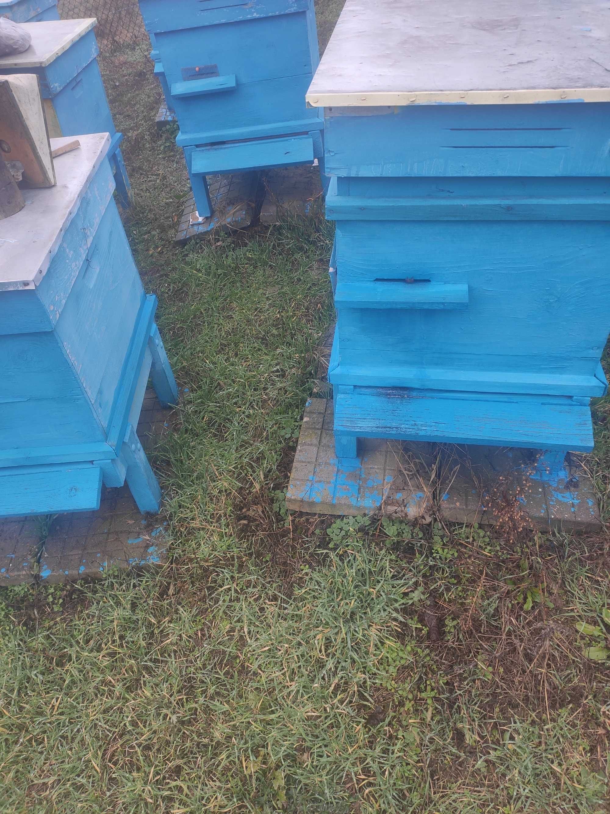 Пчелни семейства в кошери с подвижно дъно 10 рамкови тип многокорпусни