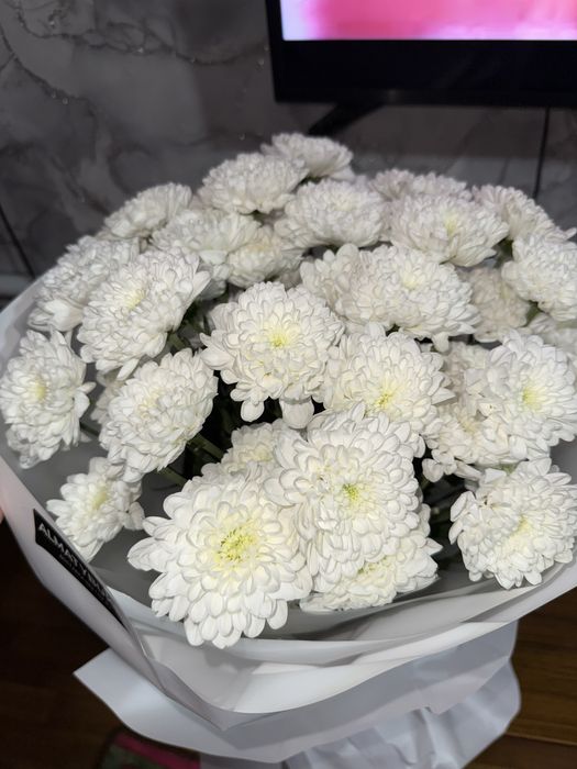 Свежие белые хризантемы, красивый букет