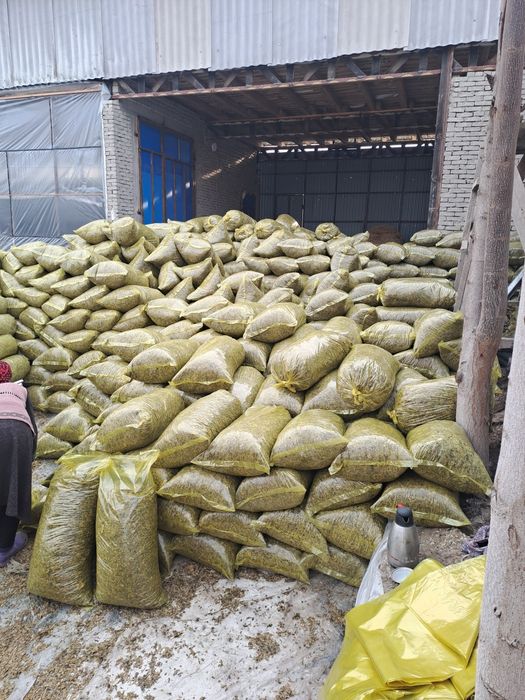Dolik silos sotiladi sfatga garyantya