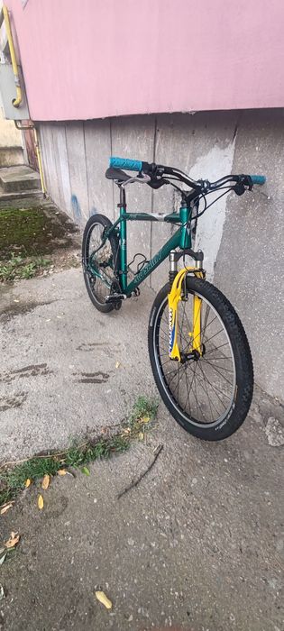 Bicicleta mountain bike