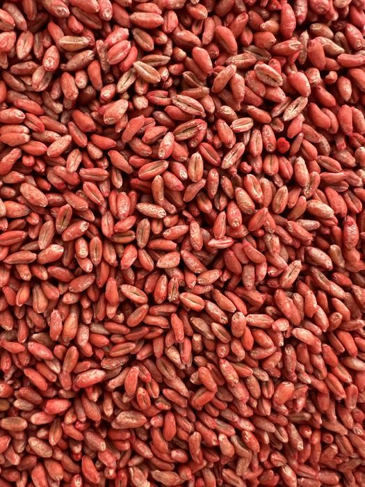 Vand grau de samanta Rubisko c1