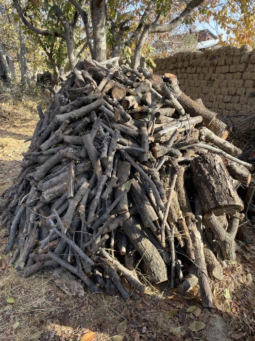 Мевали дарахт ўтинлари