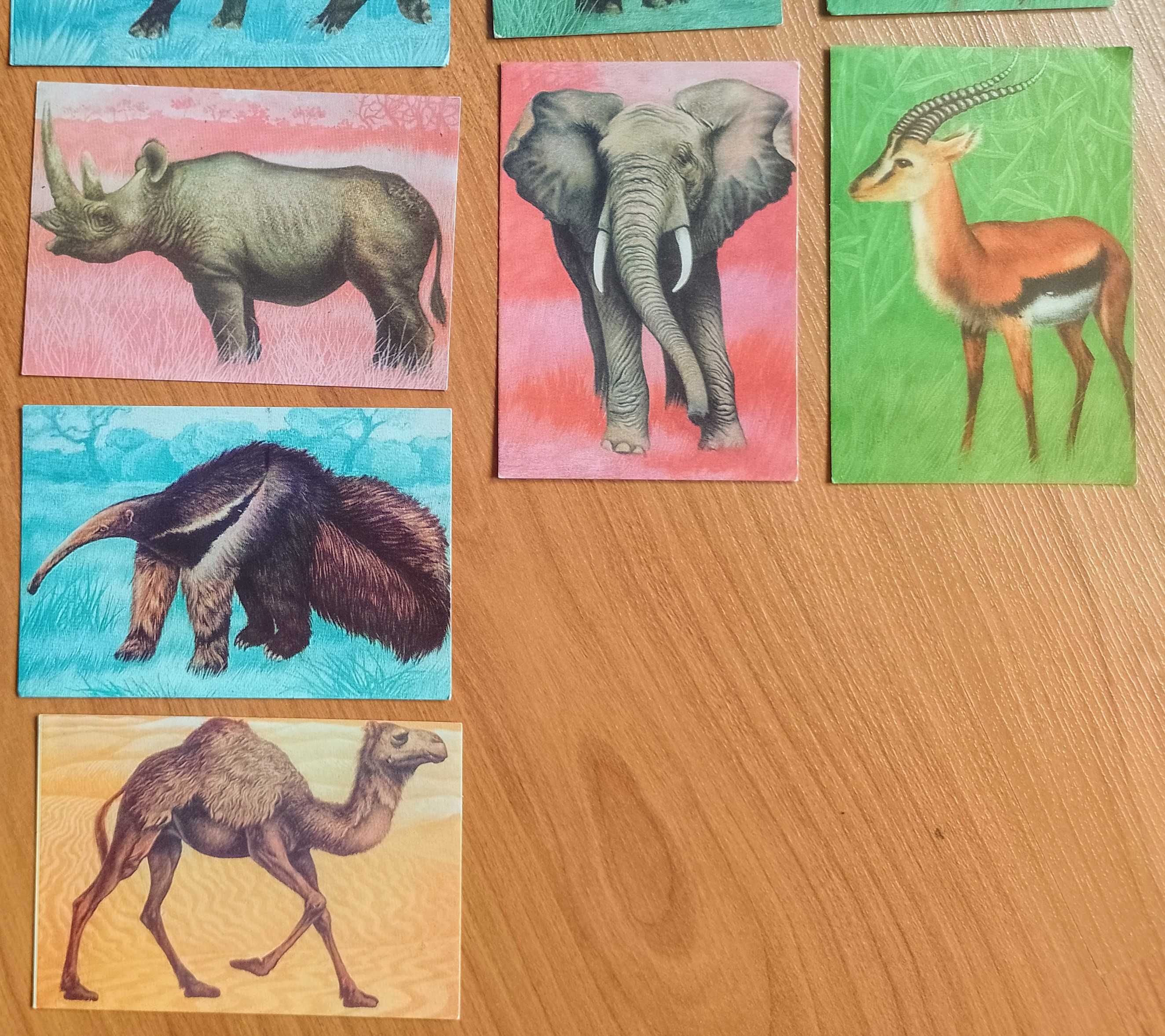 Календарчета с животни от 1977г. и 1979г.