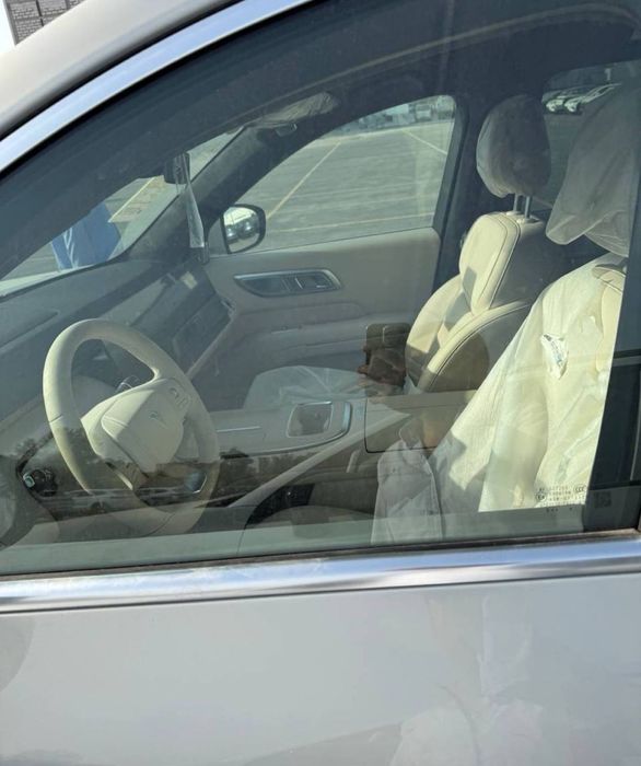 Changan depal S09 silver plus
