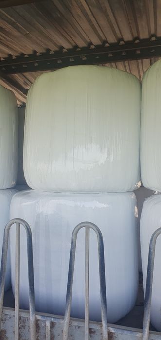 Vand Siloz de porumb, balotat si infoliat 2025