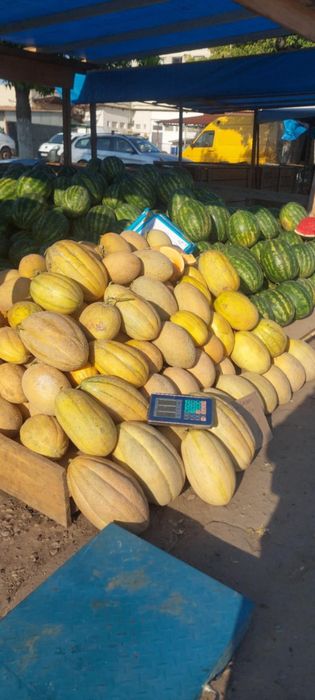 Vand pepeni verzi și galbeni