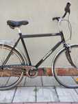 Bicicleta cu butuc Nexus 7