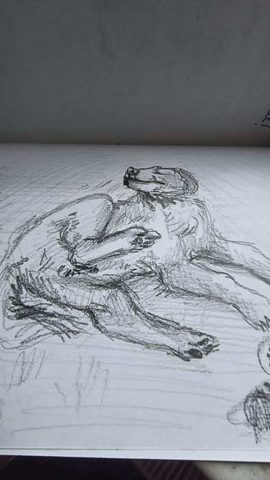 Desene la comandă