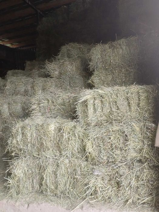 Продам  садовое сено