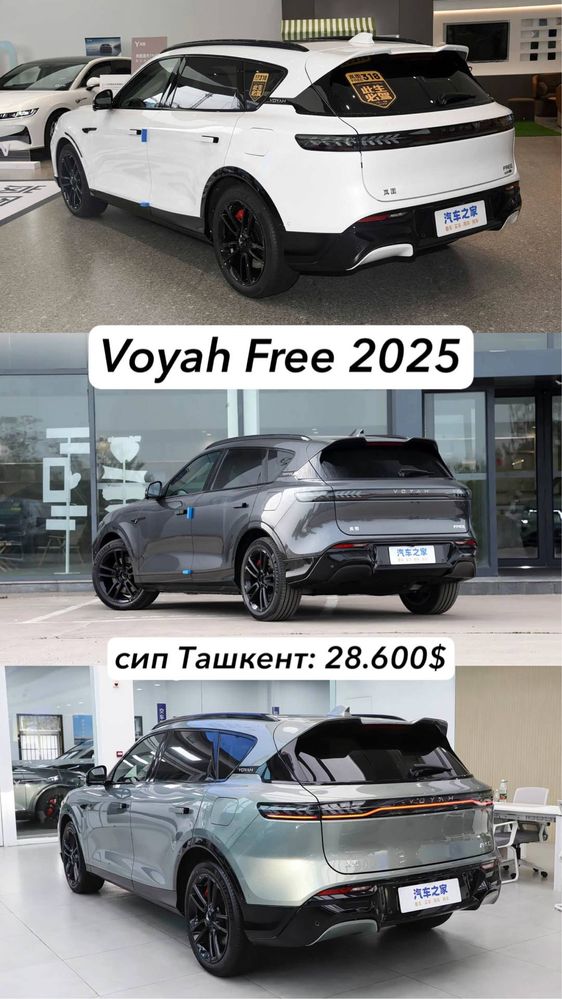 Voyah Free apollo-tech 2025 версия