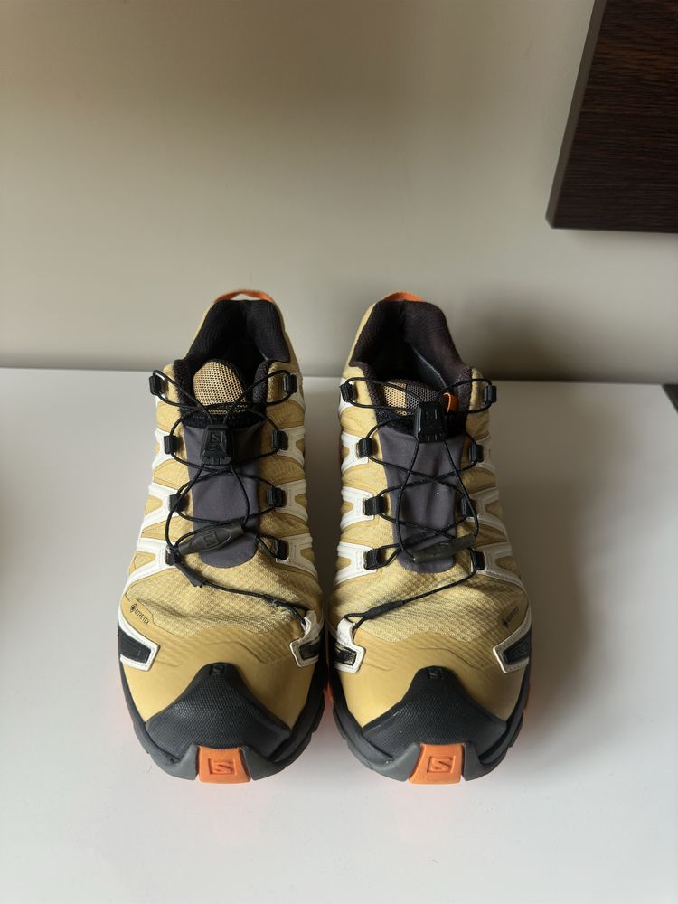 Salomon Gore-tex XA PRO 3D