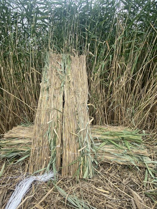 Камыс камыш маты