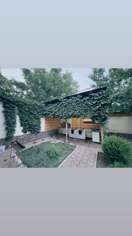Dacha chorvoq.