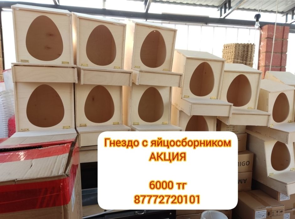 Гнездо для кур несушек несушка ұя тауық құс птицы кормушка поилка нипе