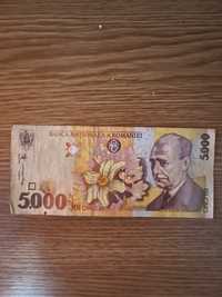 Bancnote 5000 de lei și 1000 de lei